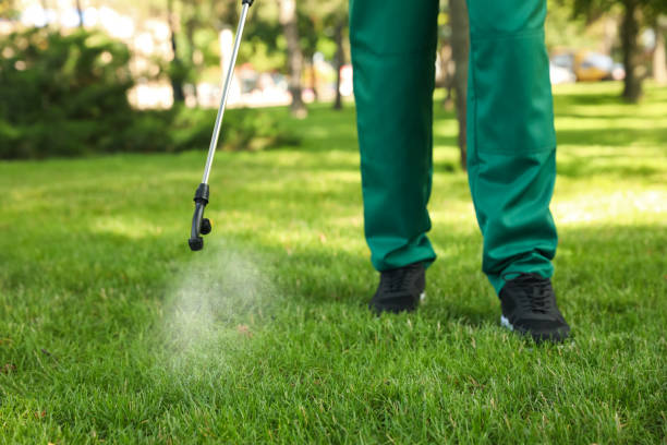 Insect Control in Burnet, TX
