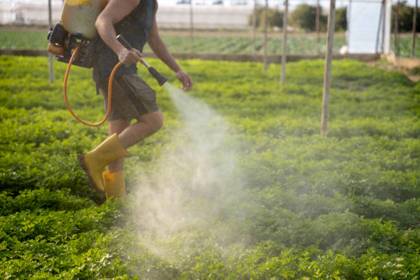 Burnet, TX Pest Control Company