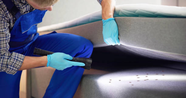 Best Ant Control Services  in Burnet, TX